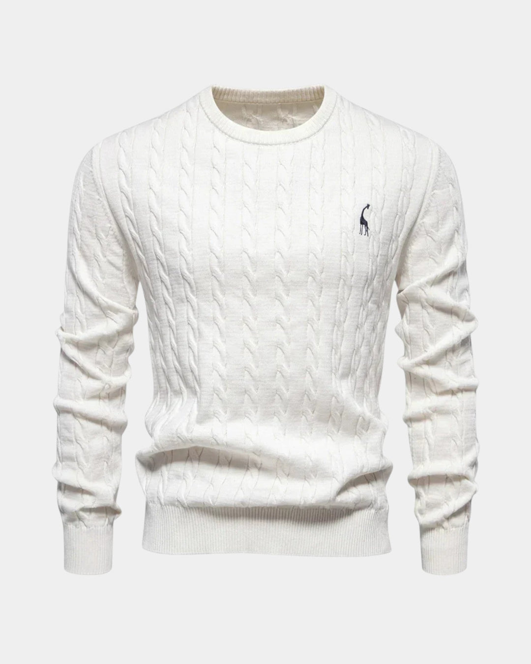 Rogier | Elegant Jumper for Men