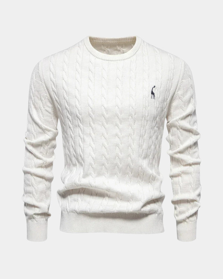 Rogier | Elegant Jumper for Men